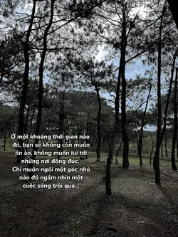 học cách sống