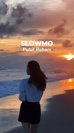 Pulut roham