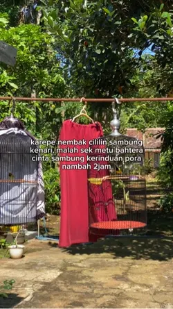 Karepe nmbak cililin