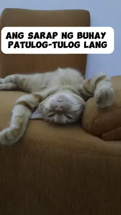 Tulog ng tulog