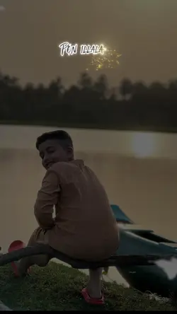 Pogattum pogattum