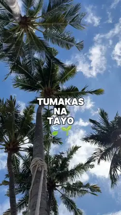 summer entry