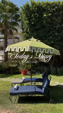 Daily vlog
