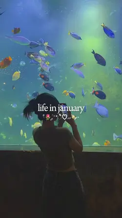 life in january 2025