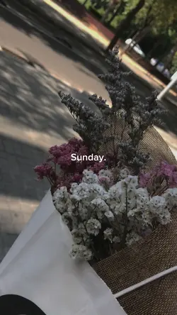 Sunday