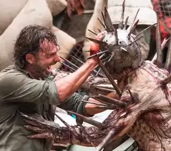 TWD 