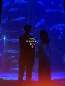happy anniversary 