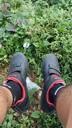 chillax