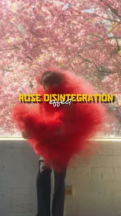 Rose disintegration