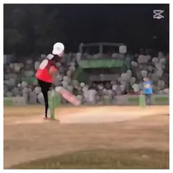 cricket template 