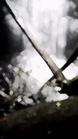 slowmo video