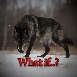 What if?