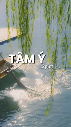 TÂM Ý
