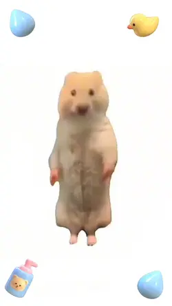 목욕송 !