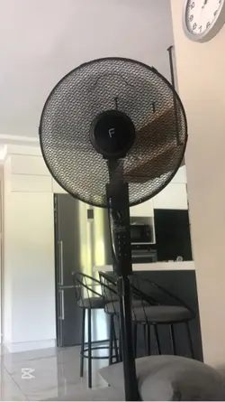 Seni seviyorum 