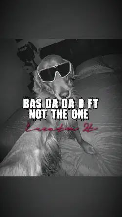 Bas da da da ft 