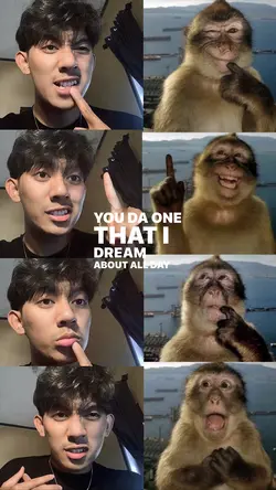 Monkey thinking 