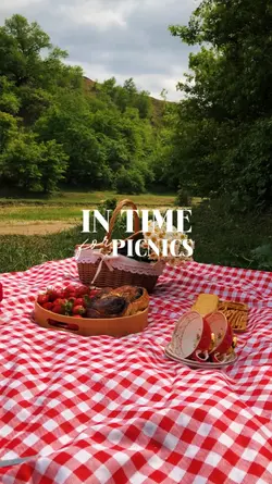 Picnic Vlog