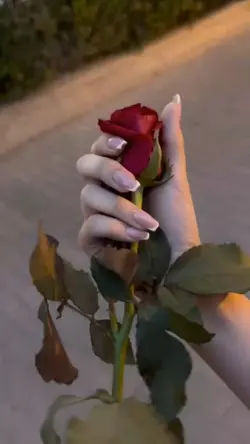 fon müziği 