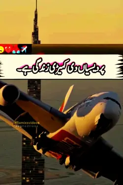 Pardes di zindagi