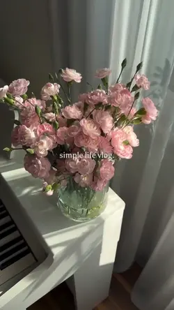 simple life vlog