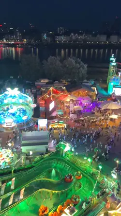 🎡