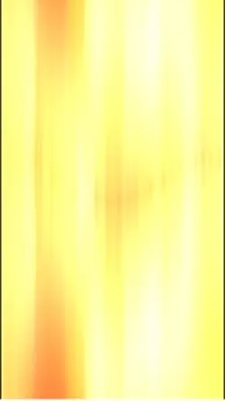 France template