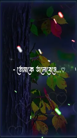 তোমাকে ভালোবেসে 
