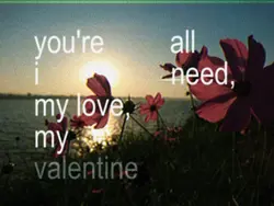 MY VALENTINE