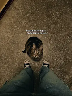 storywa