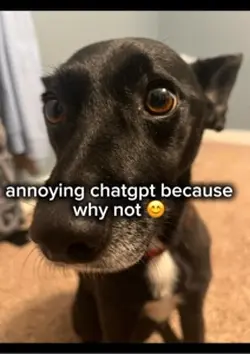 annoying chatgpt!