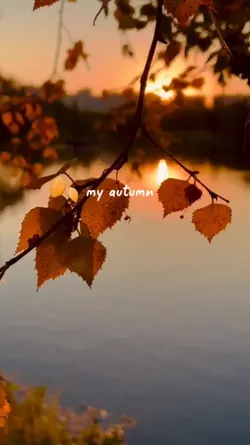 my autumn