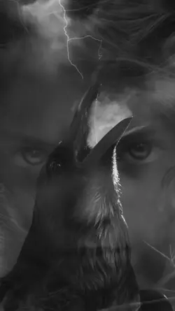 RAVEN 