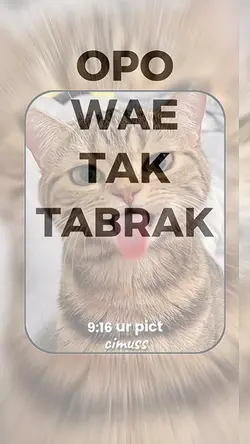 opo wae tak tabrak