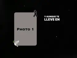 🕊️