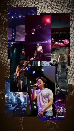 concert dump