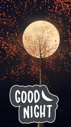 Good Nigh