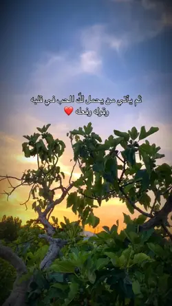 20.00PM