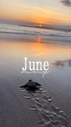 June dump