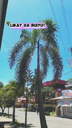 LIKAY SA bisyo