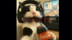 The user? valorant 