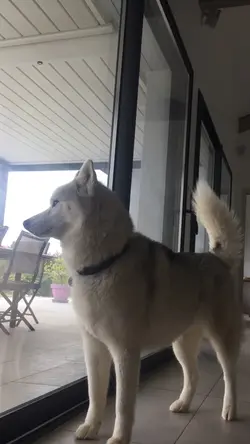 Slowmotion 