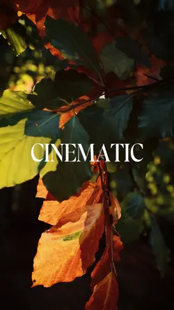 Cinematic Nature