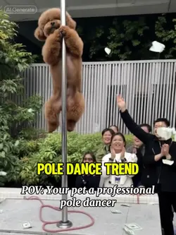 Pole Dance Pet AI