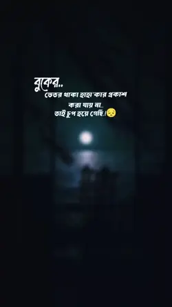 তাই চুপ হয়ে গেছি 