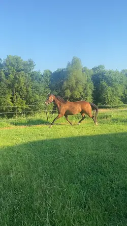 He’s so chunky