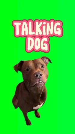 Talking Dog