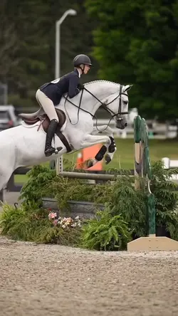 The horse tho