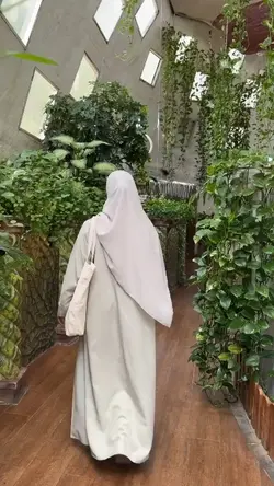 2 video