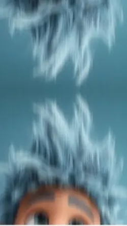 Dolphin T